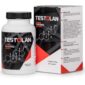 Testolan_Pro3 (1)